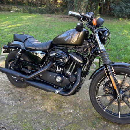 Harley Davidson XL883N Iron